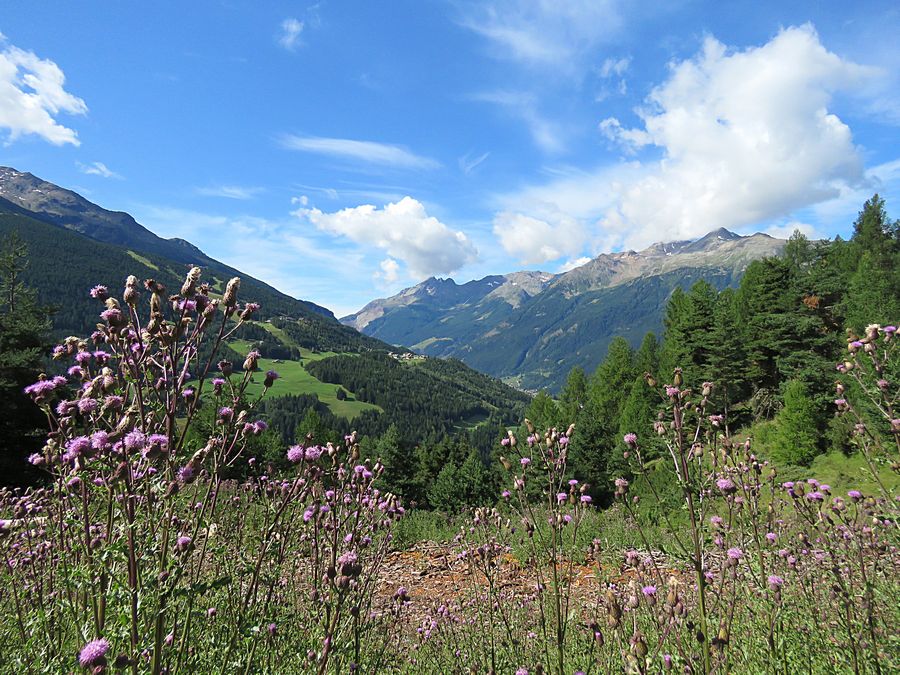 Bormio