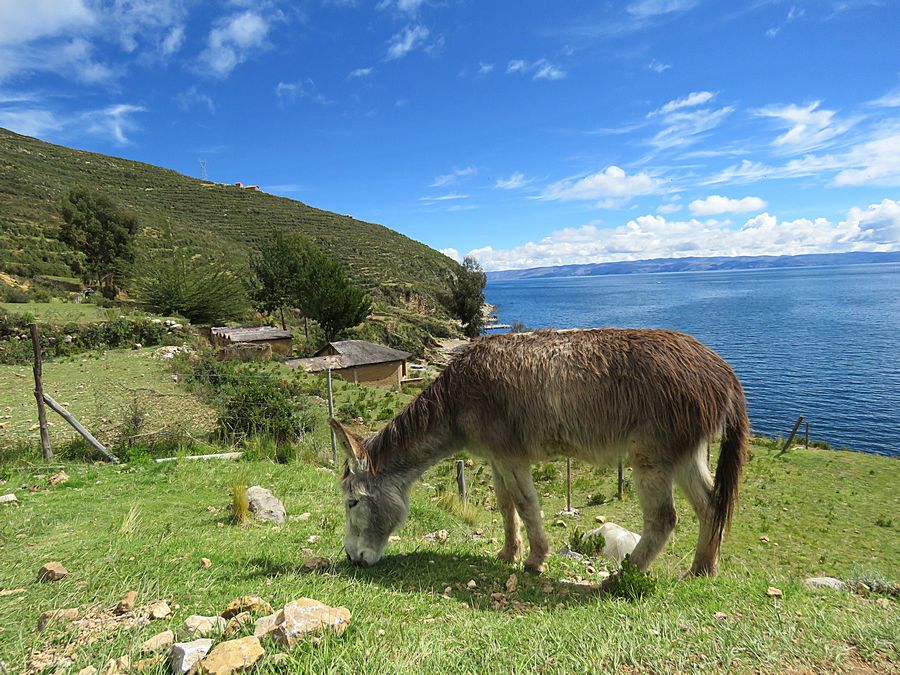 Lake Titicaca