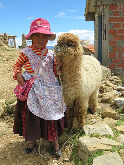 girl and alpaca