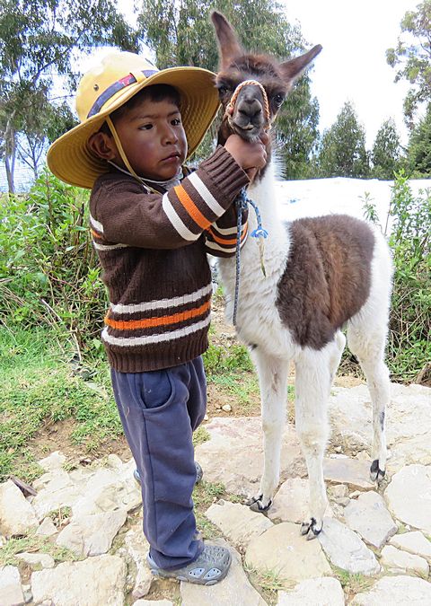 boy and llama