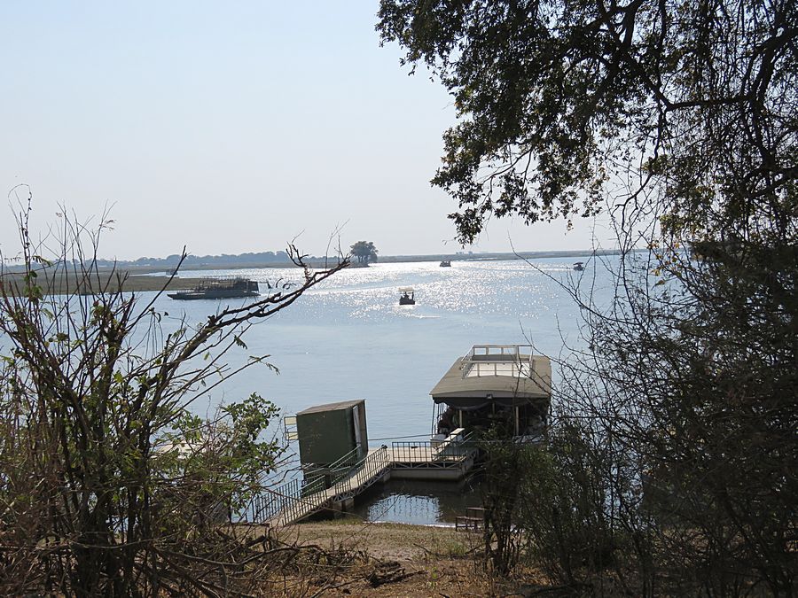 Chobe River