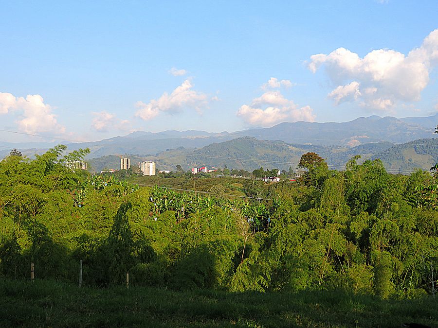 country side view