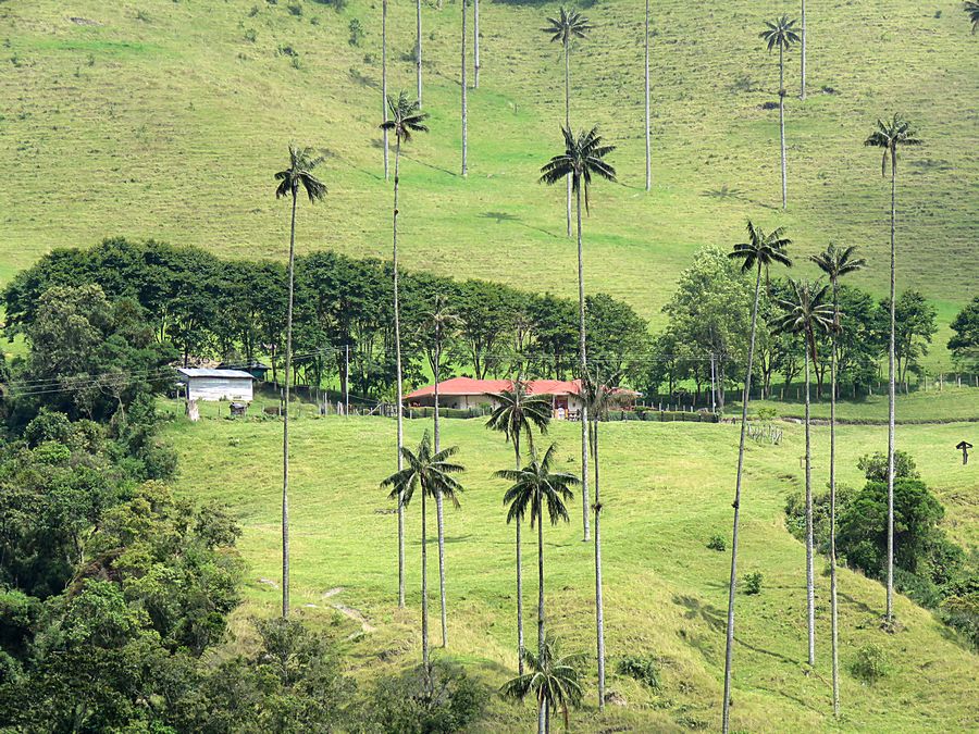 Corcora Valley