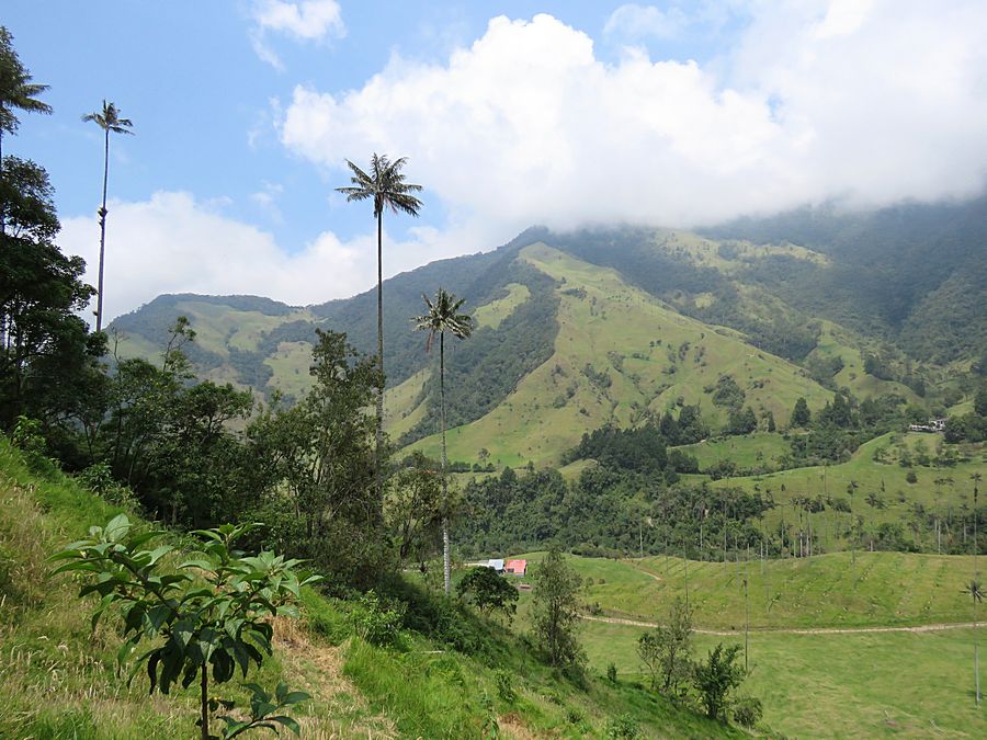 Corcora National Park
