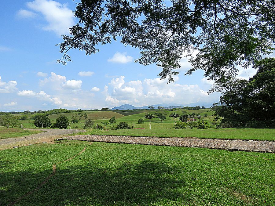 farmland