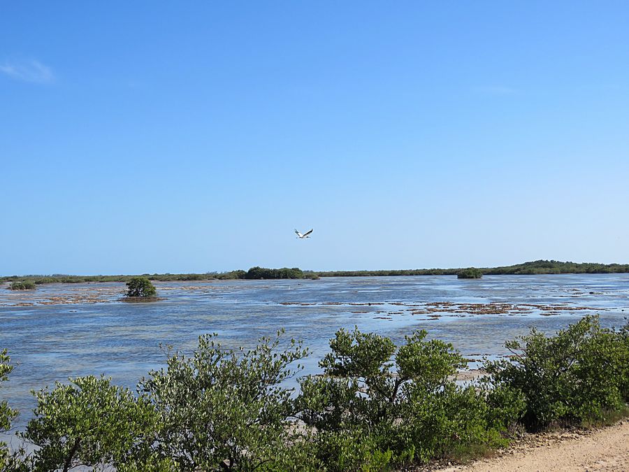 Zapata National Park