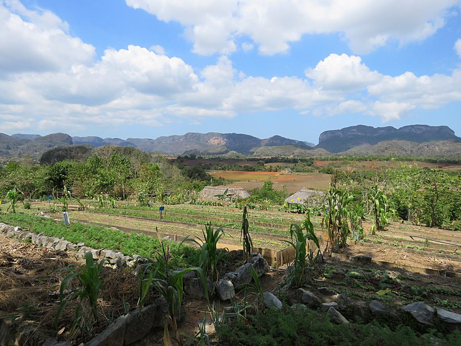 Vinales Valley