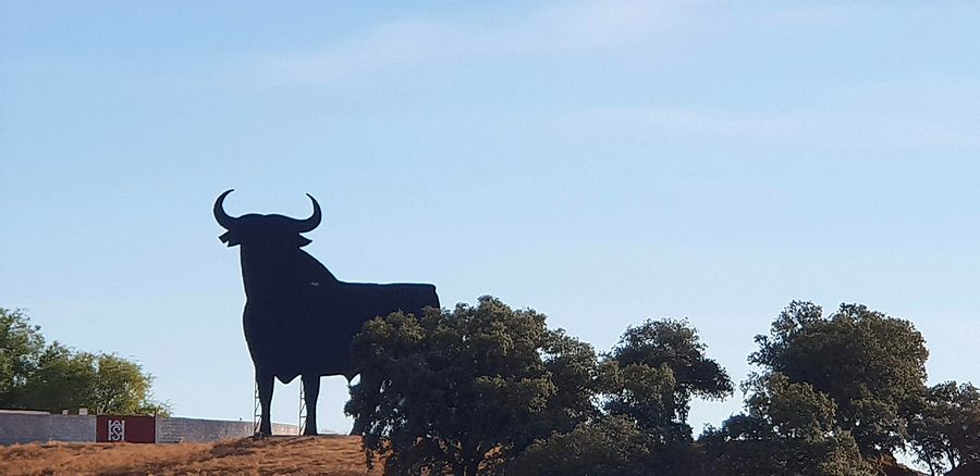 bull statue
