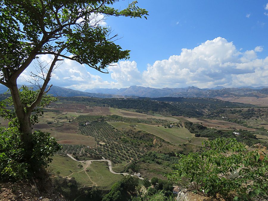 farmland