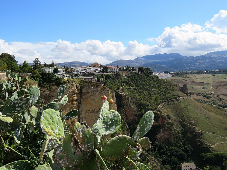 Ronda view