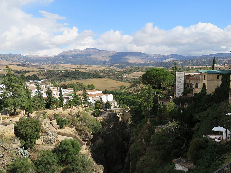 bridge view