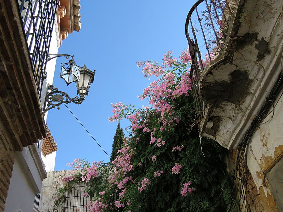 old section Ronda