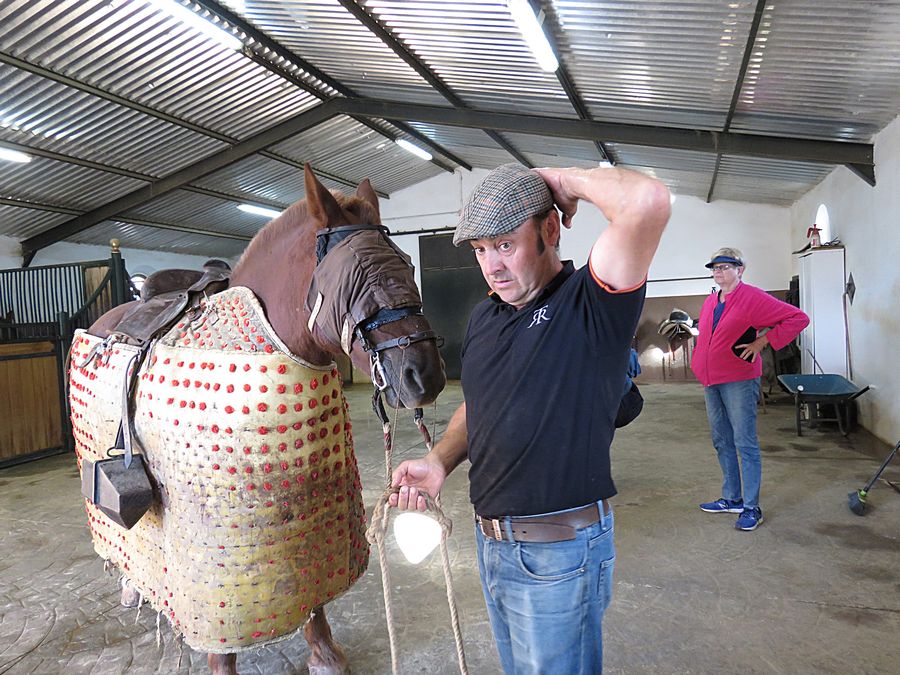 horse