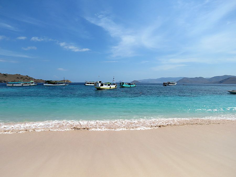 beach and boats