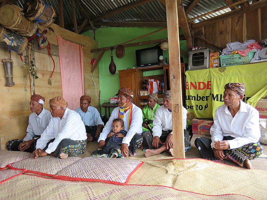elders