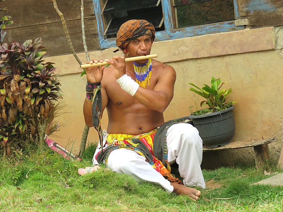 musician