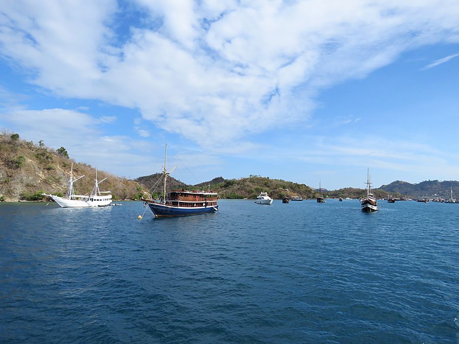 Labuan Bajo harbor