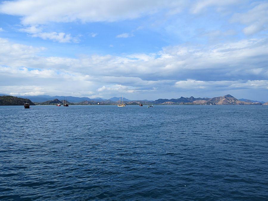 sea