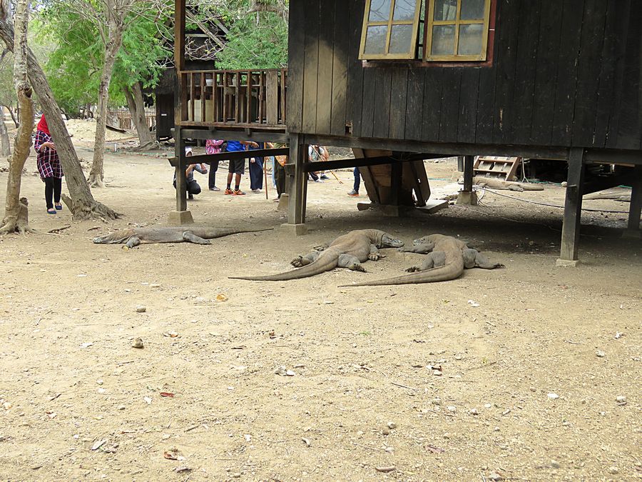 park ranger cabins