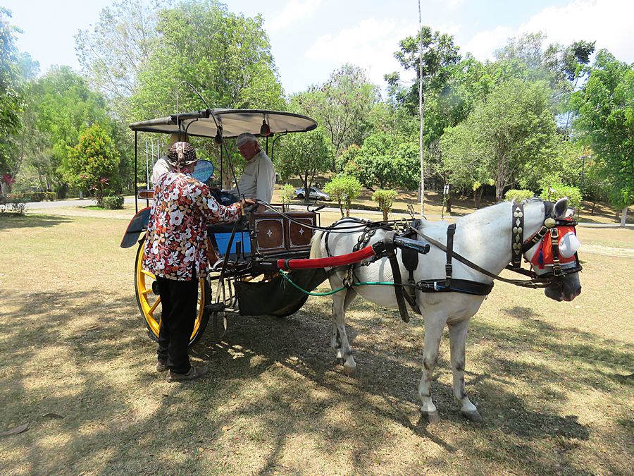 Horse-drawn carriage