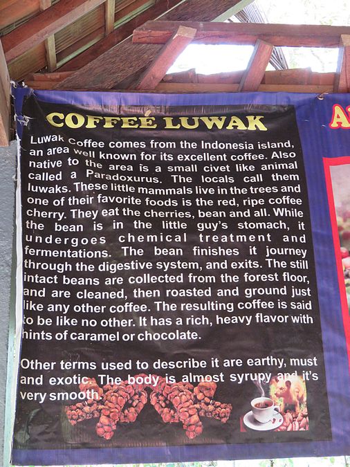 coffee making explanation