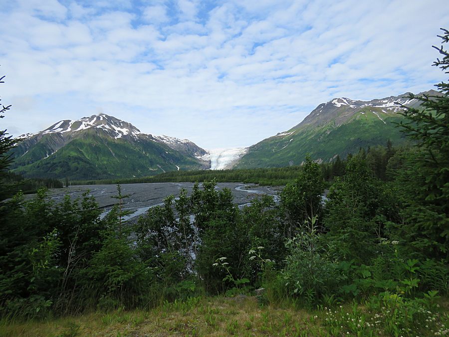 Exit Glacier