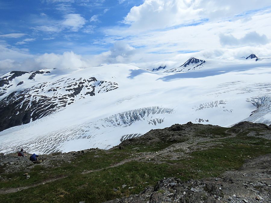 Exit Glacier