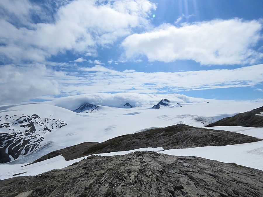 Harding Icefield