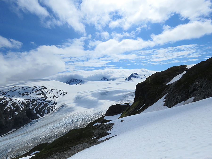 Icefield