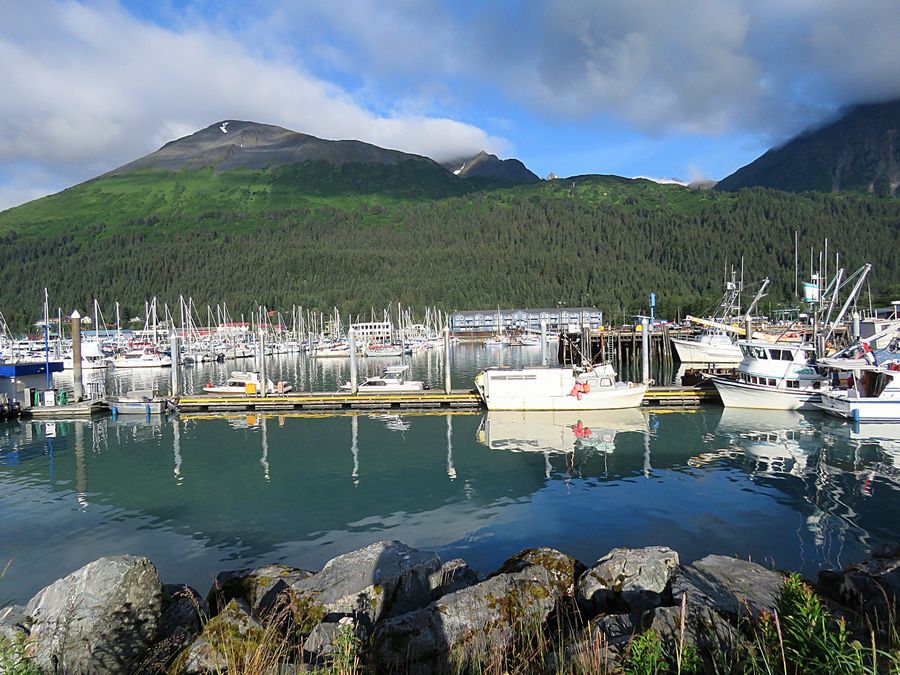 Seward harbor