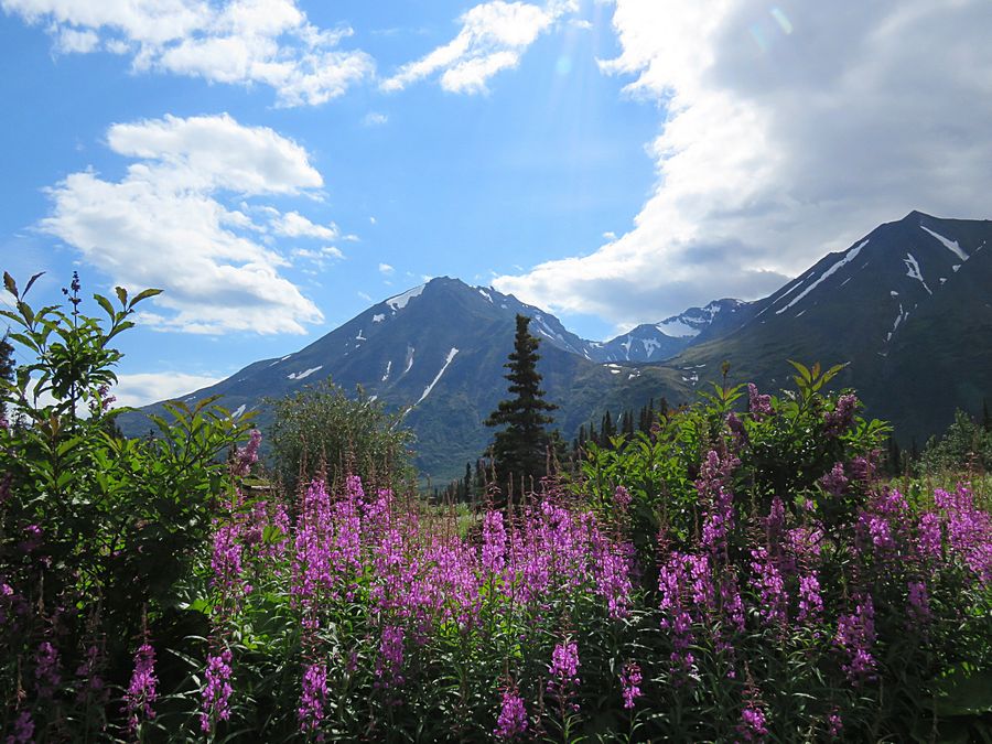 roadside view