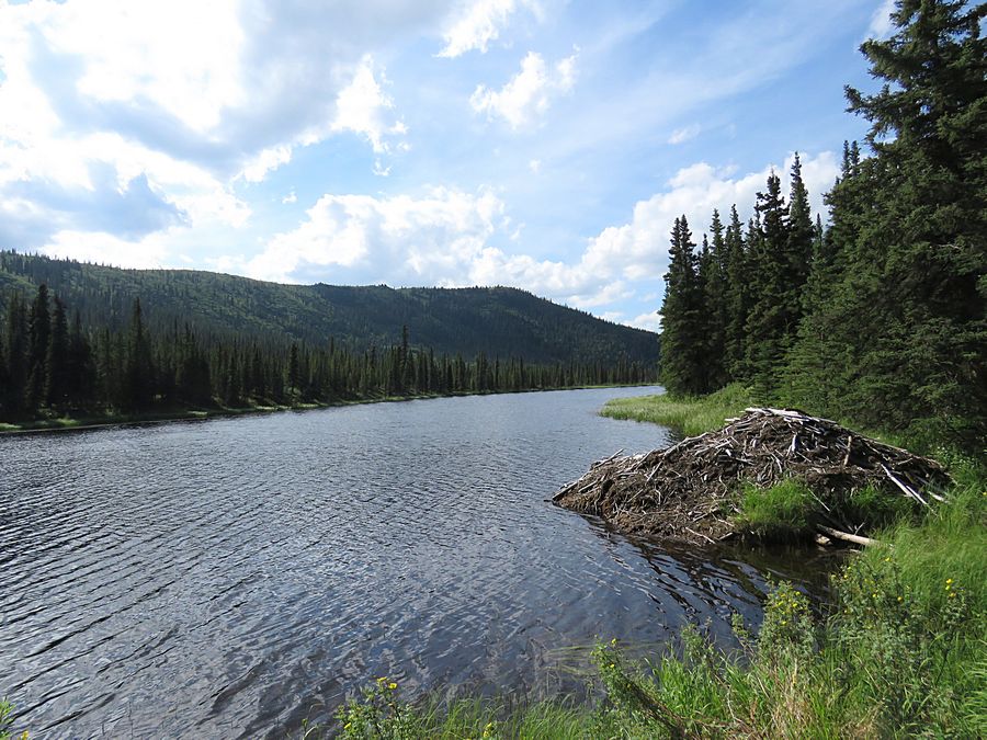 Triple Lakes trail