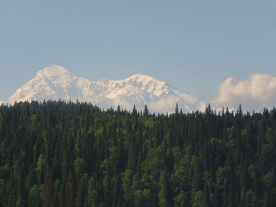 Denali