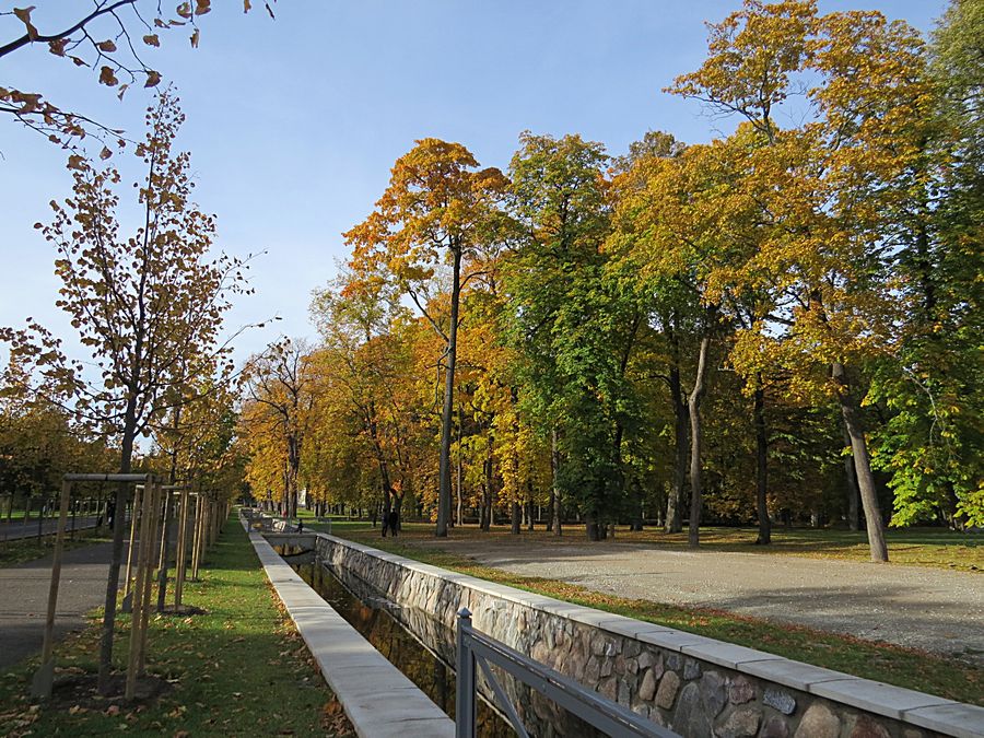 fall color