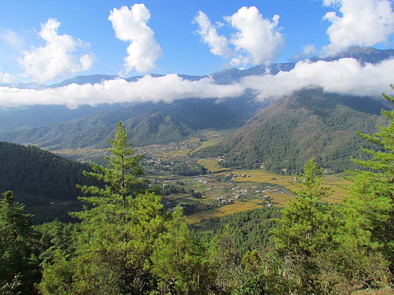 Bhutan landscape