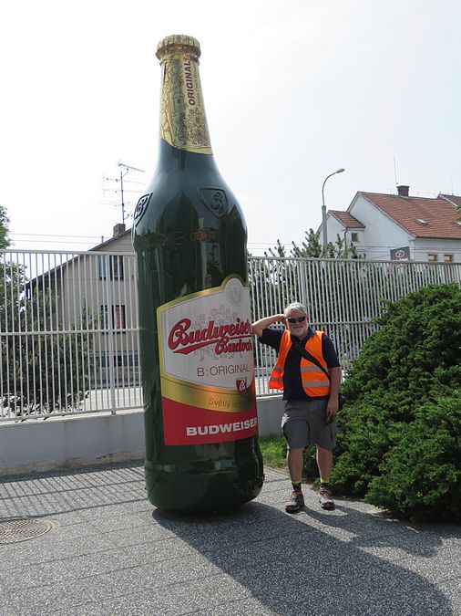 Beer bottle