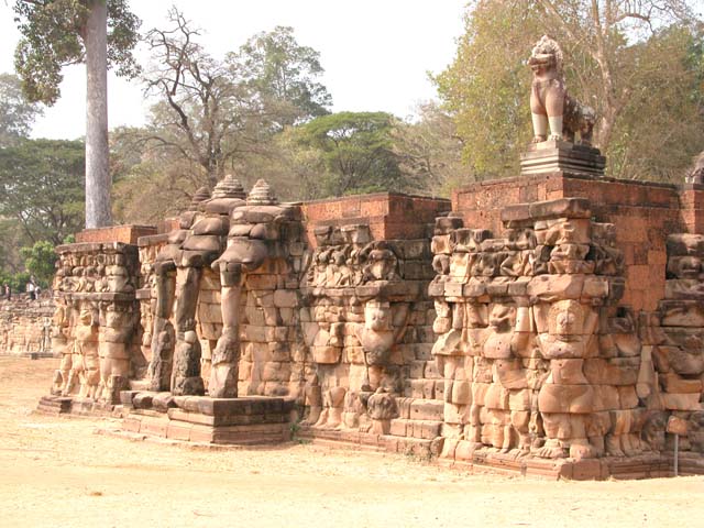 Elephants Terrace