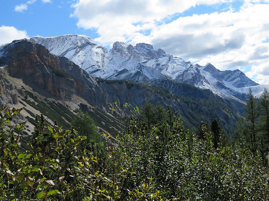 Cortina