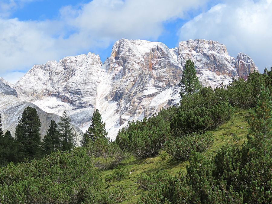 Cortina