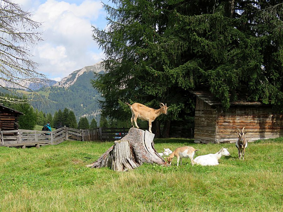 dolomites