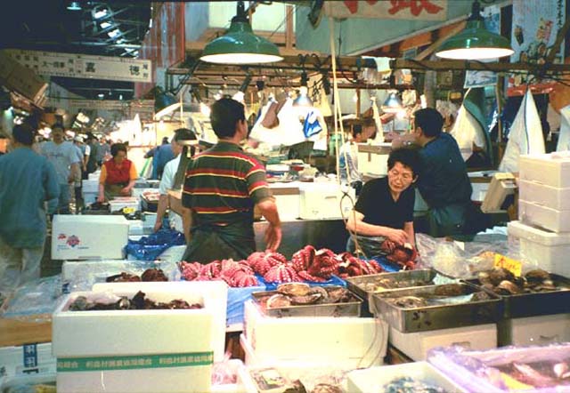 Tokyo Fish Market