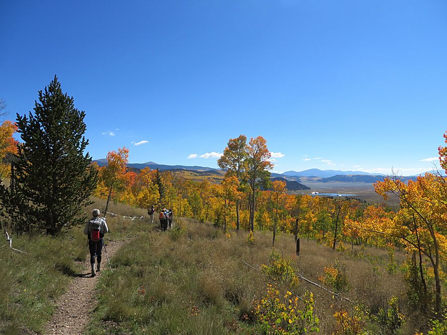 aspen