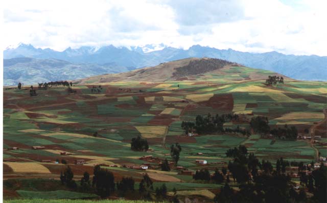 Peruvian countryside