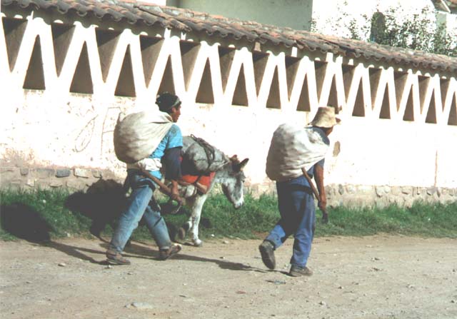 Workers and donkey