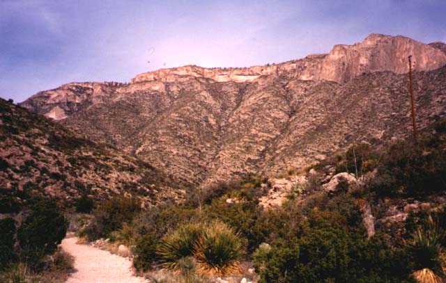 On the trail to Guadalupe Peak