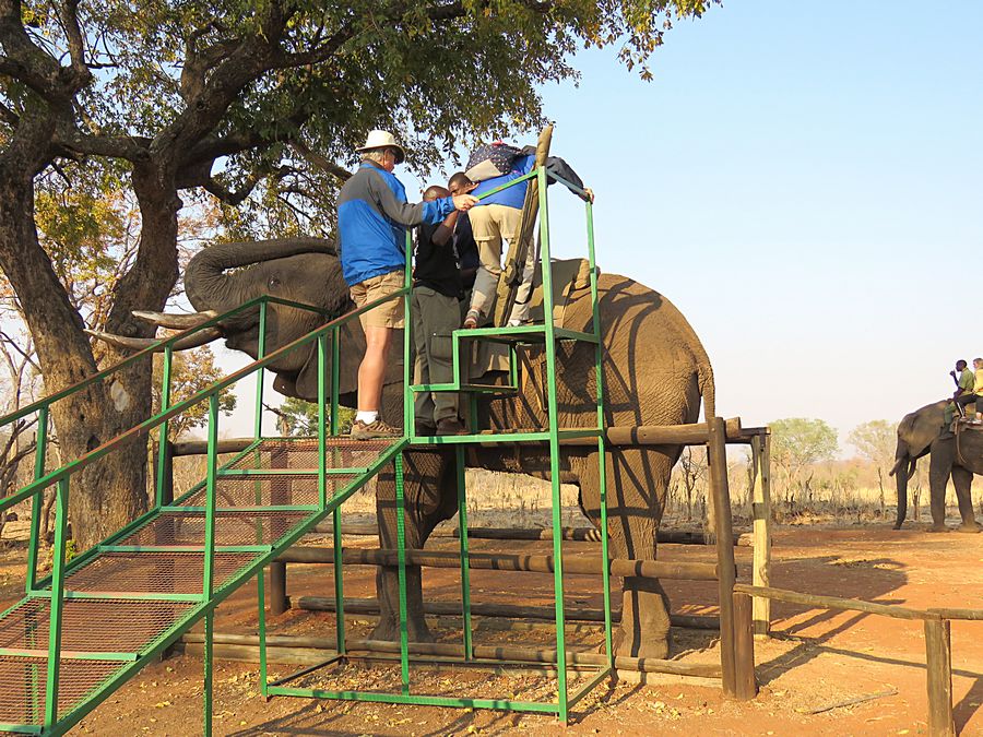 ascending the elephant