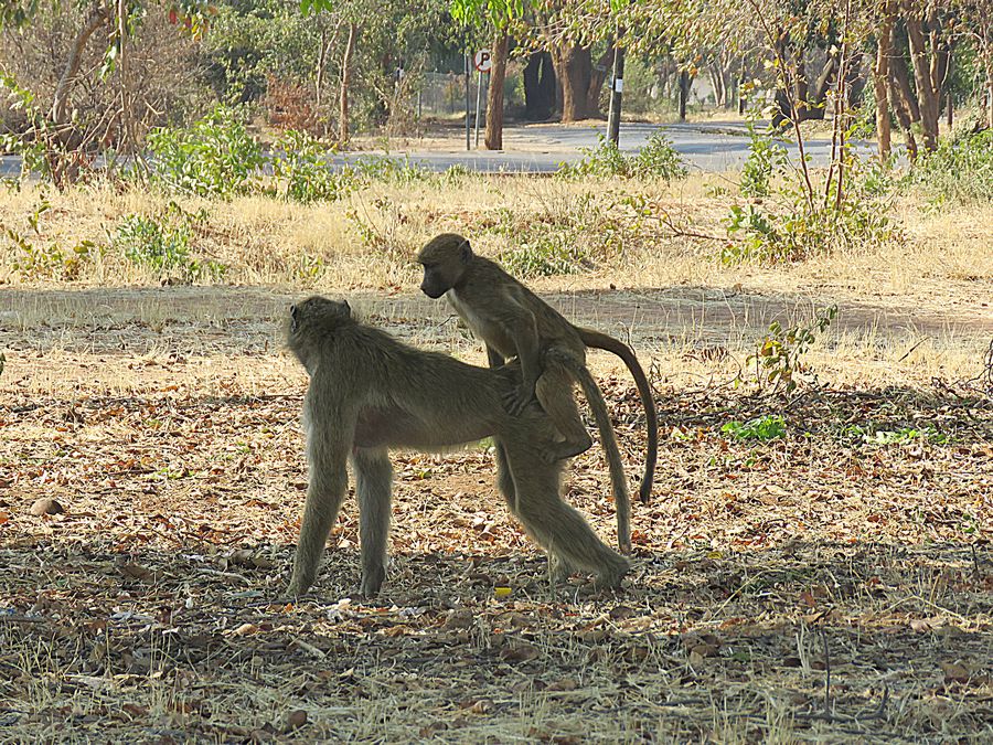 baby and mom