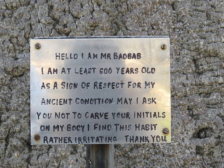 baobab tree sign