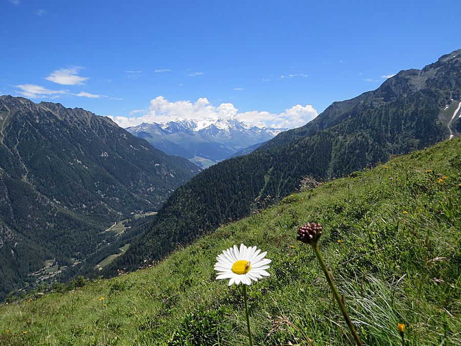 Switzerland